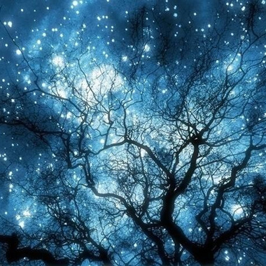 星