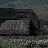 The Children Forgotten In The Winds