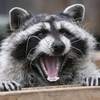 test_0318