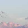 修剪(2024 ver.)