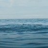 Out of The Water