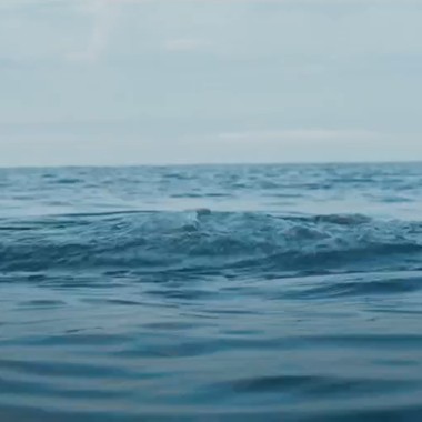 Out of The Water