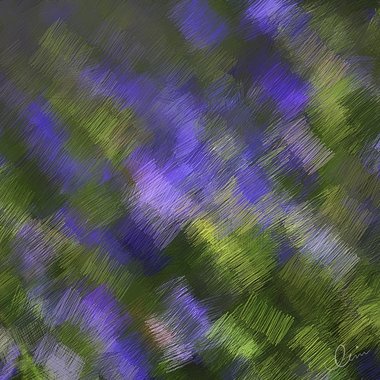桔梗之地