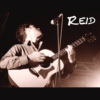 Reid - Shocks that Sting