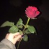 Chi-现实动态