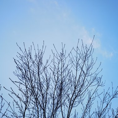 喜晴