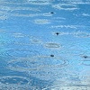 雨水惊蛰春分