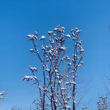 雪融