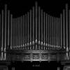 黑色管风琴 Black Organ