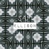 Sam Ellison - Deep Inside The Woods