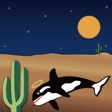 Orca