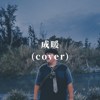 成暖 (cover)