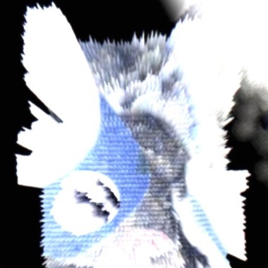 disappear.