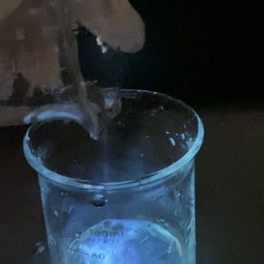 Summer ICE