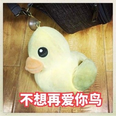 不想再爱你了