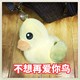 不想再爱你了