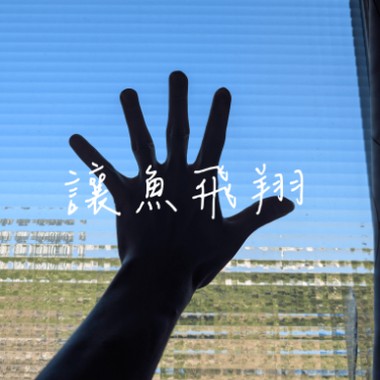 让鱼飞翔