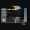 柴犬$HIBA - WRONG WAY 
