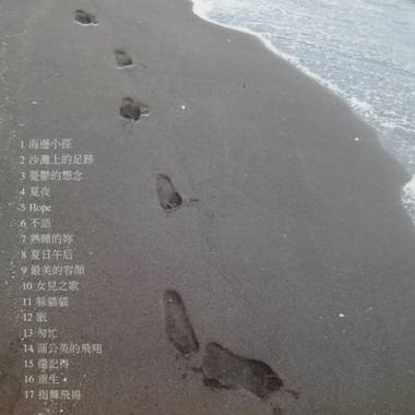 2沙滩上的足迹