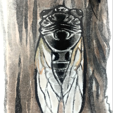 Exuvia‘死蝉’