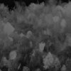 sky full band demo