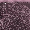 Soft Pine - You'll Be Fine