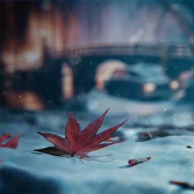 三年后的大雪