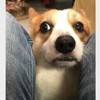 疗伤与腿毛