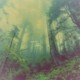 漫步 / STROLL feat. HuaTIME