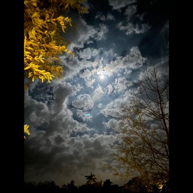 Lost night