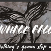 whale fall-搁浅