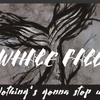 Whale Fal - We are not alone