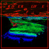 RIVER OF LIFE (DEMO)