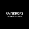 RAINDROPS