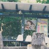 我多想陪你飞翔