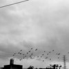 尘世 Dust World