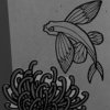 Flying Fish