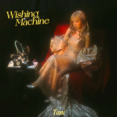 Tani 汤盈 - wishing machine