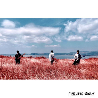 我虽不才 Band ver.