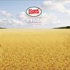 ทุ่งหญ้าบาล์เล่ย์ (The Barley Field)