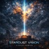 星尘视觉Stardust Vision