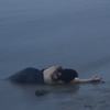 Mermaid 美人鱼