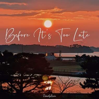 及时雨 - Before its too late (DEMO)