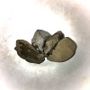 没人懂