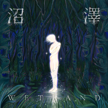 沼泽 Wetland