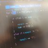 do while loop mini size