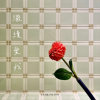 继续爱我