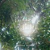 拾伍拾捌｜112级 正心高中毕业歌Final