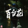 陈碎CYK - 百合花
