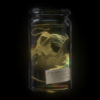 我完美的爱情 Anglerfish’s Love